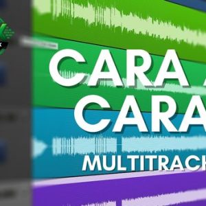 Multitrack del canto CARA A CARA del Himnario de Gloria